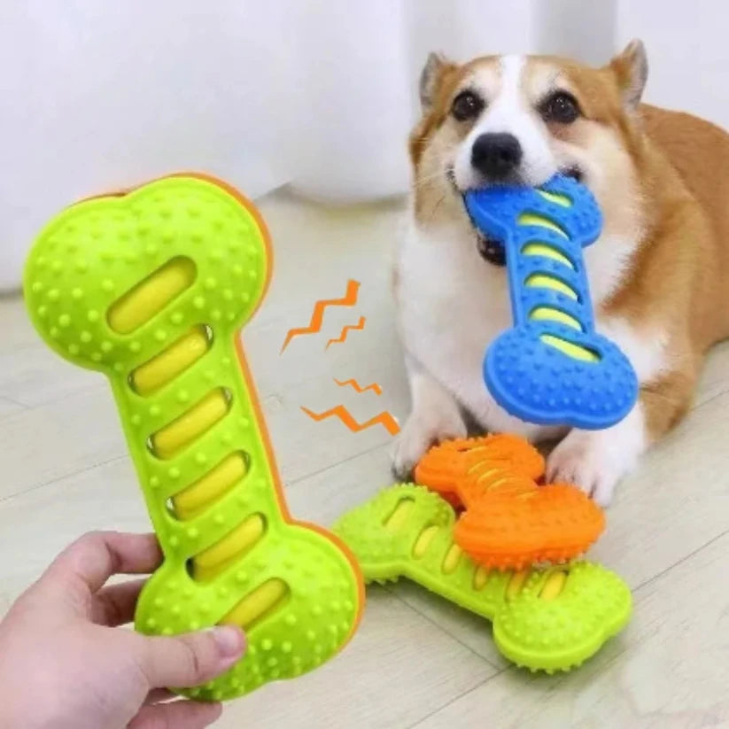 Rubber Chew Toy