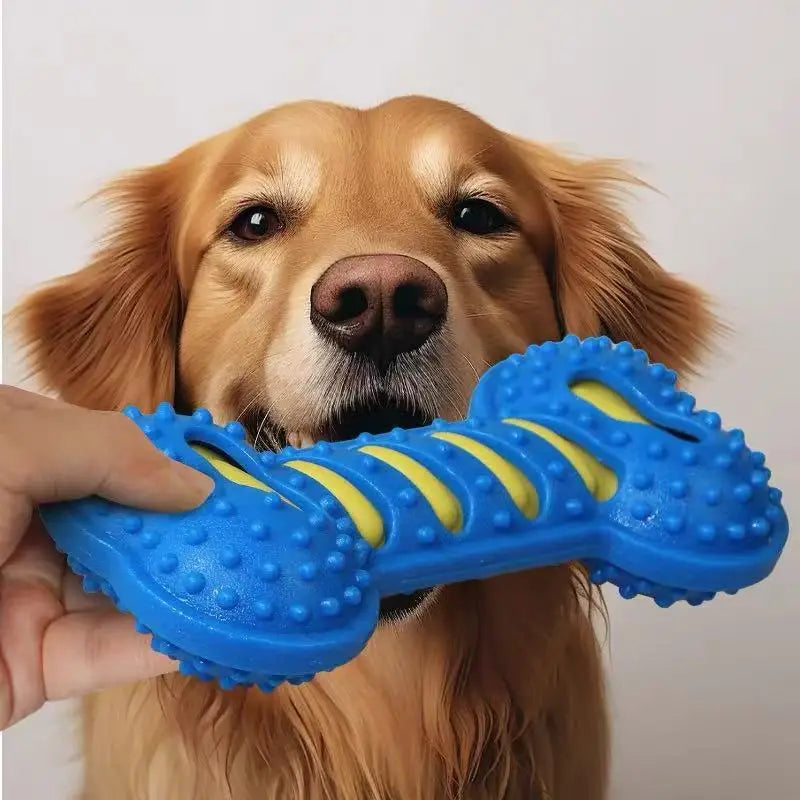 Rubber Chew Toy