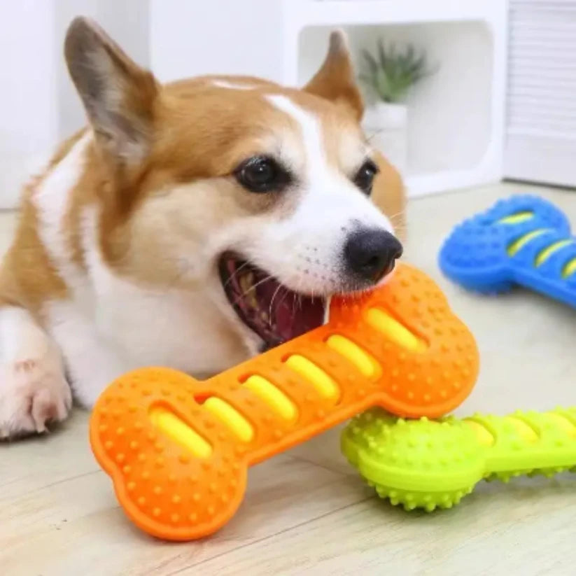 Rubber Chew Toy